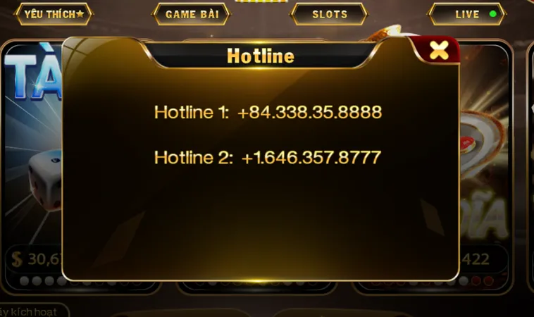 Hệ Thống Hotline Hỗ Trợ Người Chơi Hoàn Toàn Miễn Phí Và Tận Tâm Luôn Phục Vụ 24/7